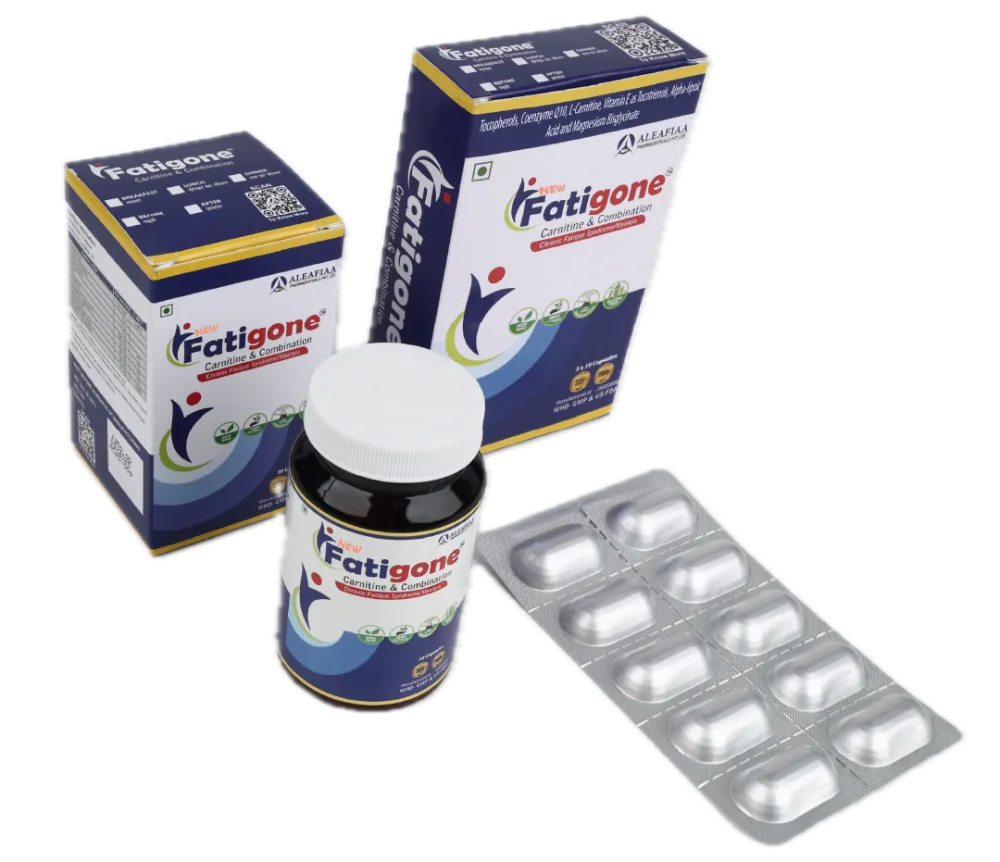New Fatigone