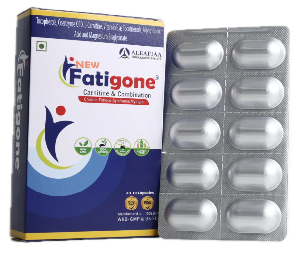New Fatigone